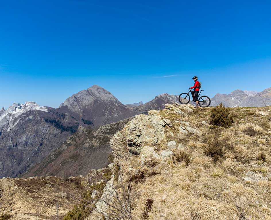 Percorsi bici versilia